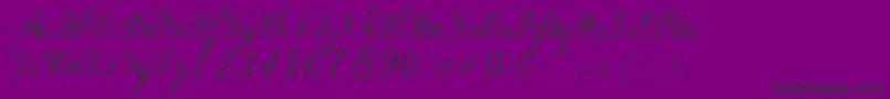 Police Bernadine Script – polices noires sur fond violet