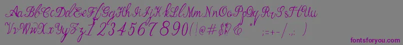 Bernadine Script Font – Purple Fonts on Gray Background