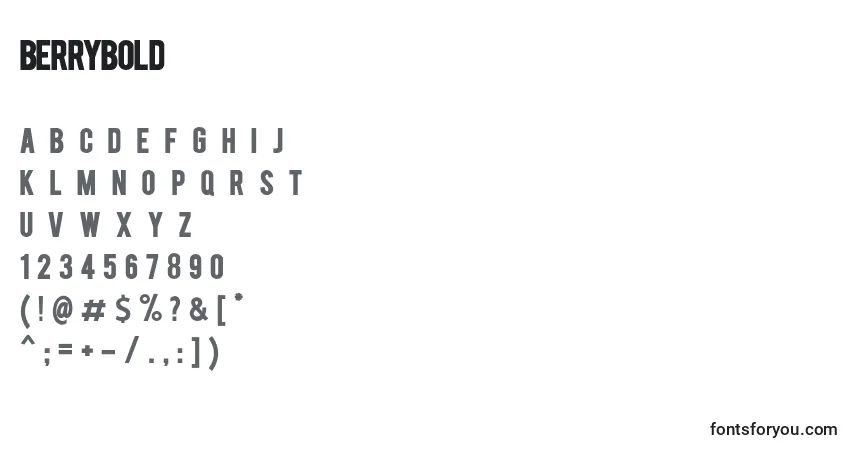 Шрифт BERRYBOLD – алфавит, цифры, специальные символы