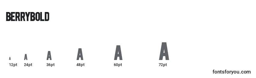 BERRYBOLD Font Sizes