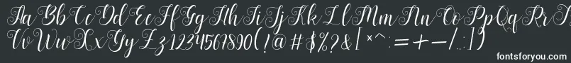 Bertiga   sample Font – White Fonts