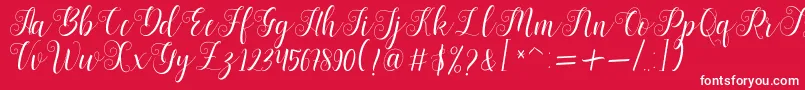 Bertiga   sample Font – White Fonts on Red Background