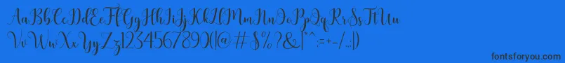 bertilda Font – Black Fonts on Blue Background