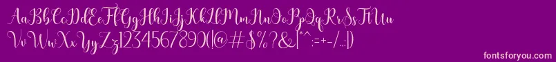 bertilda Font – Pink Fonts on Purple Background