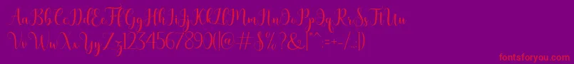 bertilda Font – Red Fonts on Purple Background