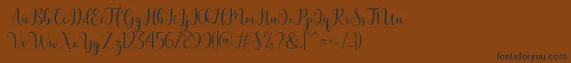 bertilda Font – Black Fonts on Brown Background