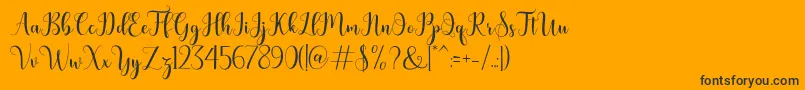 bertilda Font – Black Fonts on Orange Background