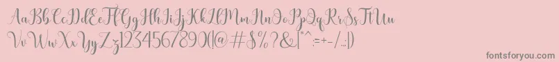 bertilda Font – Gray Fonts on Pink Background