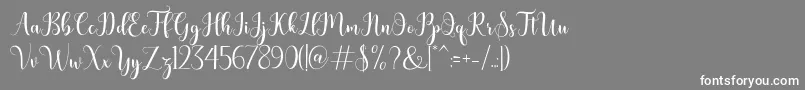 Шрифт bertilda – белые шрифты на сером фоне