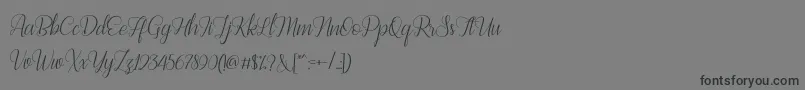 Bestilla Script DEMO-Schriftart – Schwarze Schriften auf grauem Hintergrund