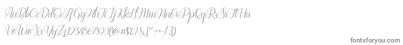 フォントBestilla Script DEMO – 白い背景に灰色の文字