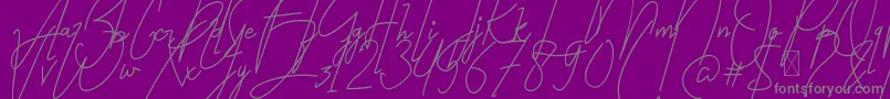 Bestlife-Schriftart – Graue Schriften auf violettem Hintergrund