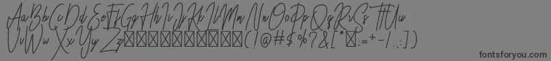 Besttones BOLD DEMO Font – Black Fonts on Gray Background