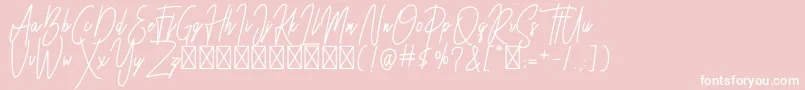 Besttones BOLD DEMO Font – White Fonts on Pink Background