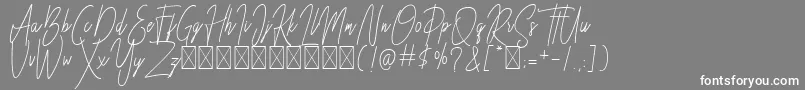 フォントBesttones Regular DEMO – 灰色の背景に白い文字