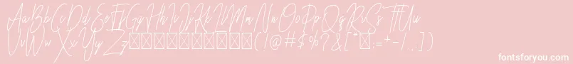 Besttones Regular DEMO Font – White Fonts on Pink Background