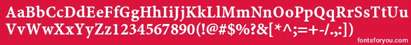 フォントMinionWebРџРѕР»СѓР¶РёСЂРЅС‹Р№ – 赤い背景に白い文字