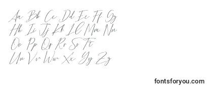 Обзор шрифта Bethany Script Dafont