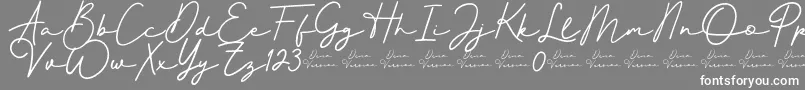 Better Signature Font-Schriftart – Weiße Schriften auf grauem Hintergrund