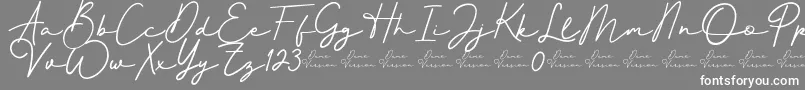 Better Signature Font Font – White Fonts on Gray Background