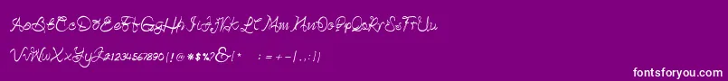 Betterday Demo-Schriftart – Weiße Schriften auf violettem Hintergrund