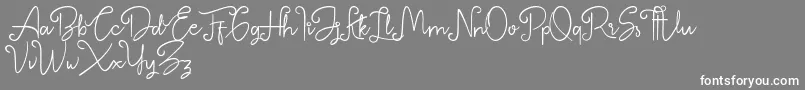 Betterlyne Personal Use Onlyフォントについての詳細 フォントBetterlyne Personal Use Only – 灰色の背景に白い文字