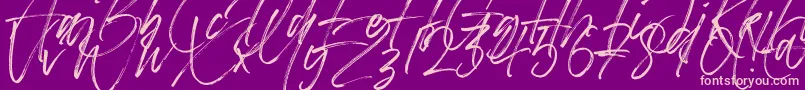 Betterworks Font – Pink Fonts on Purple Background
