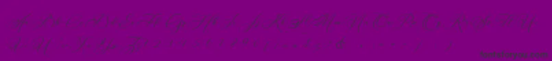 Betty Laudia Script-fontti – mustat fontit violetilla taustalla
