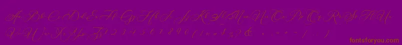 Betty Laudia Script Font – Brown Fonts on Purple Background