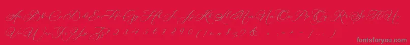 Betty Laudia Script-Schriftart – Graue Schriften auf rotem Hintergrund