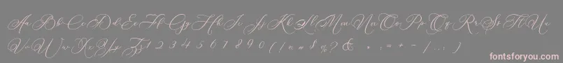 Betty Laudia Script-Schriftart – Rosa Schriften auf grauem Hintergrund