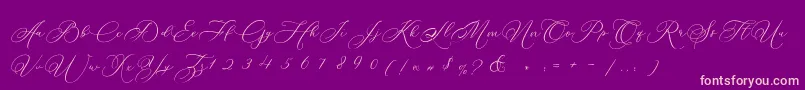 fuente Betty Laudia Script – Fuentes Rosadas Sobre Fondo Morado