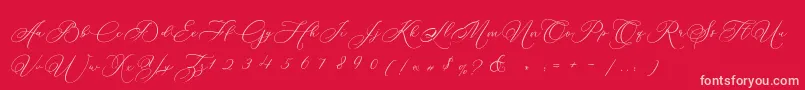 Betty Laudia Script Font – Pink Fonts on Red Background