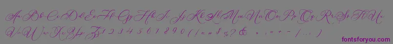 Betty Laudia Script-Schriftart – Violette Schriften auf grauem Hintergrund