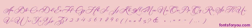 Betty Laudia Script Font – Purple Fonts on Pink Background