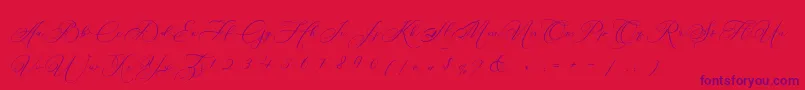 Betty Laudia Script Font – Purple Fonts on Red Background