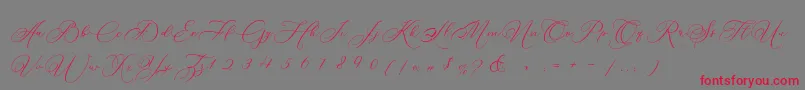 Police Betty Laudia Script – polices rouges sur fond gris