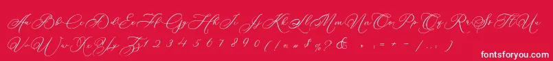 Betty Laudia Script-Schriftart – Weiße Schriften auf rotem Hintergrund