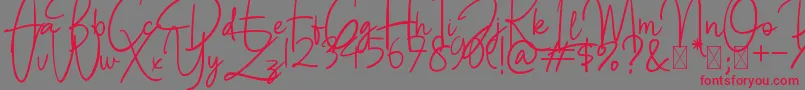 BettyLavea Font – Red Fonts on Gray Background