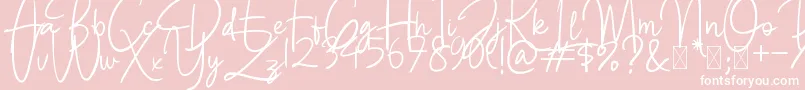 BettyLavea Font – White Fonts on Pink Background