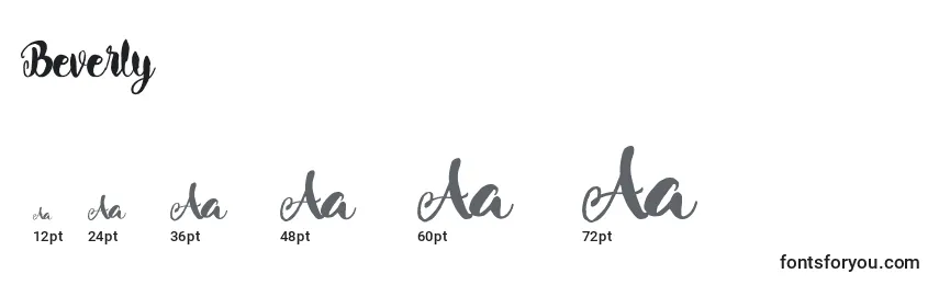 Beverly Font Sizes