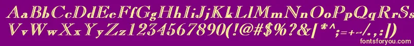 LaraBoldItalic Font – Yellow Fonts on Purple Background