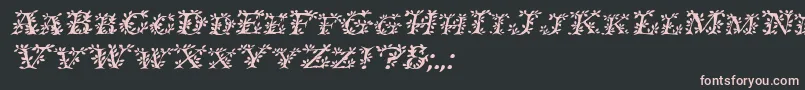 IvydisplaycapsItalic Font – Pink Fonts on Black Background