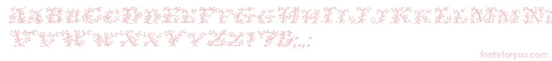 IvydisplaycapsItalic Font – Pink Fonts