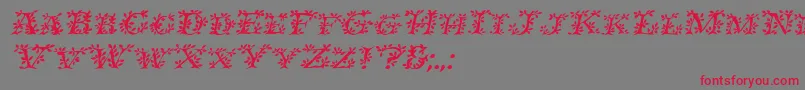 IvydisplaycapsItalic Font – Red Fonts on Gray Background