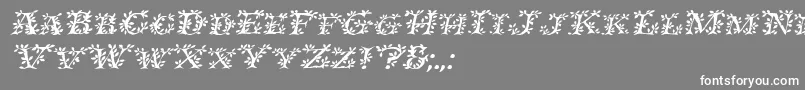 IvydisplaycapsItalic Font – White Fonts on Gray Background