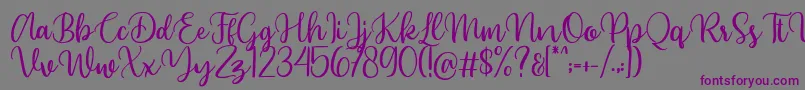 Beyonce demo Font – Purple Fonts on Gray Background