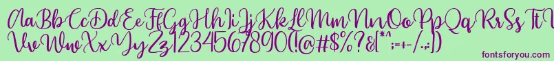 Beyonce demo Font – Purple Fonts on Green Background