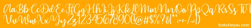 Beyonce demo Font – White Fonts on Orange Background