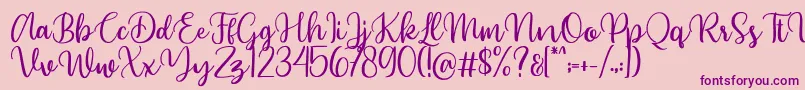 Beyonce demo Font – Purple Fonts on Pink Background